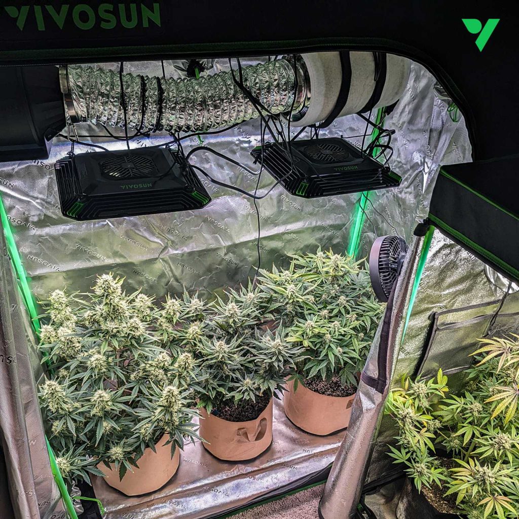 VIVOSUN Growing Guide - GROWING GUIDE