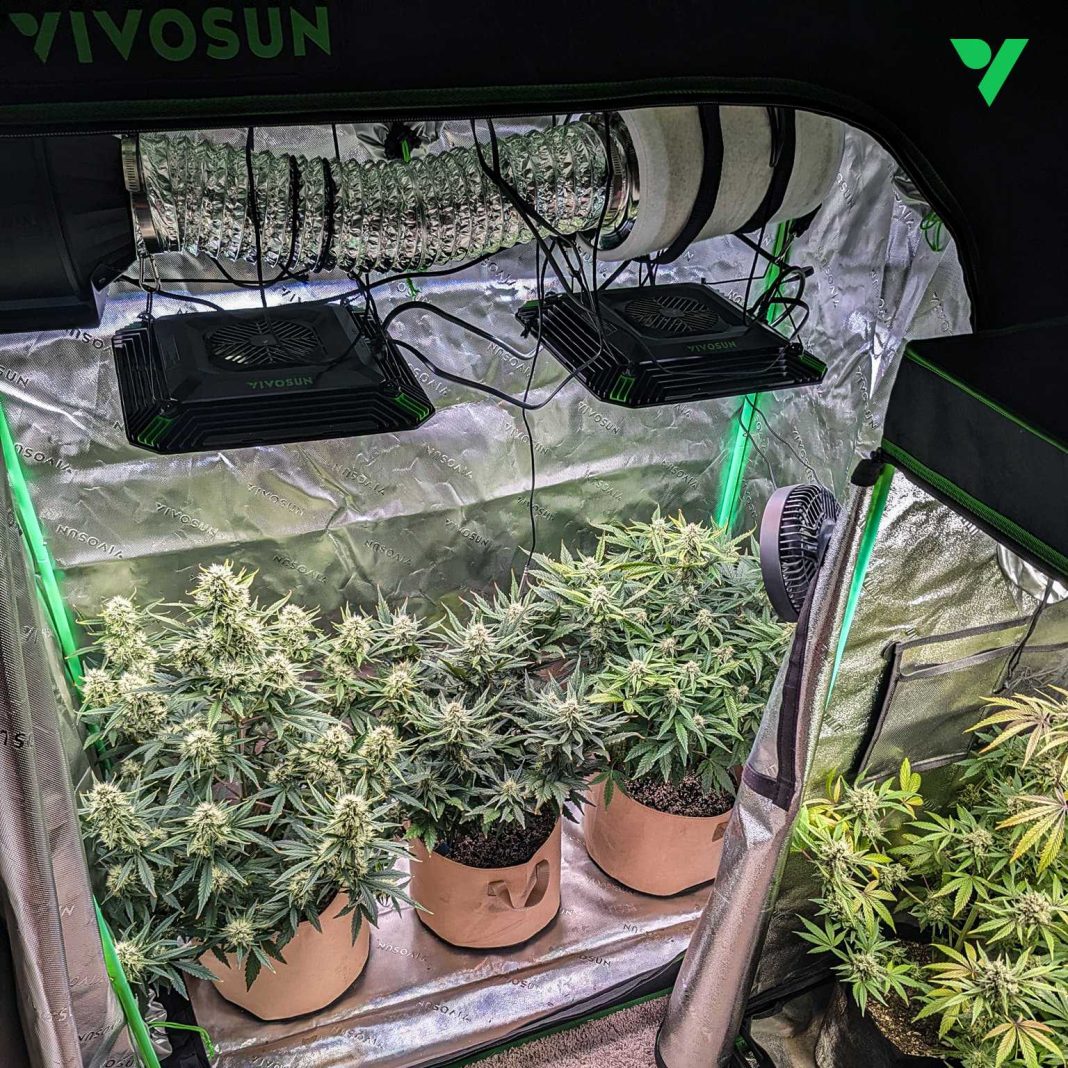 Keeping Your Grow Tent Undetectable and Smell-Proof