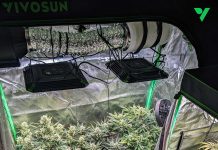 Keeping Your Grow Tent Undetectable and Smell-Proof
