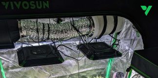 Keeping Your Grow Tent Undetectable and Smell-Proof