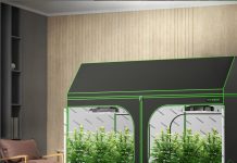 Grow room