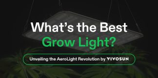 the best grow light