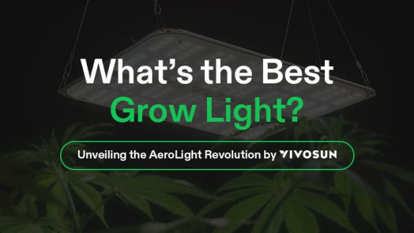 the best grow light