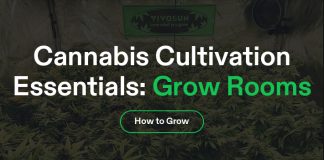 Cannabis Cultivation Banner