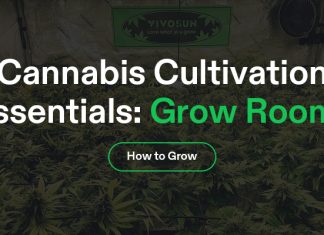 Cannabis Cultivation Banner