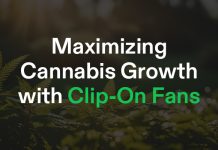 Maximing Cannabis Growth with Clip on Fans