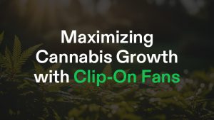 Maximing Cannabis Growth with Clip on Fans