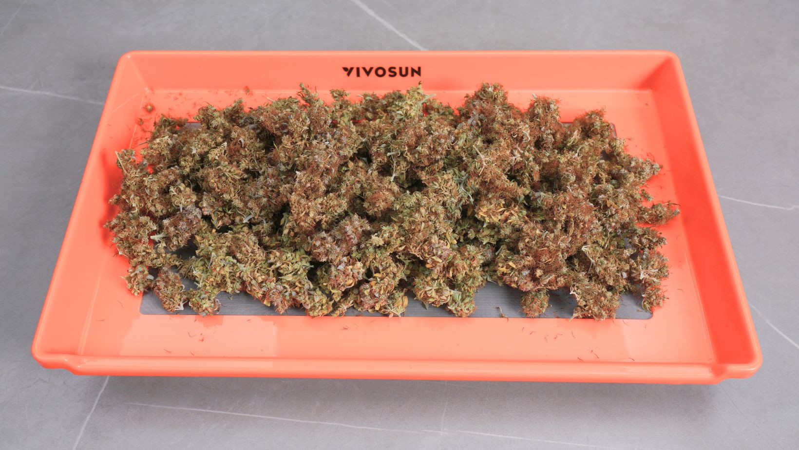Cannabis yield
