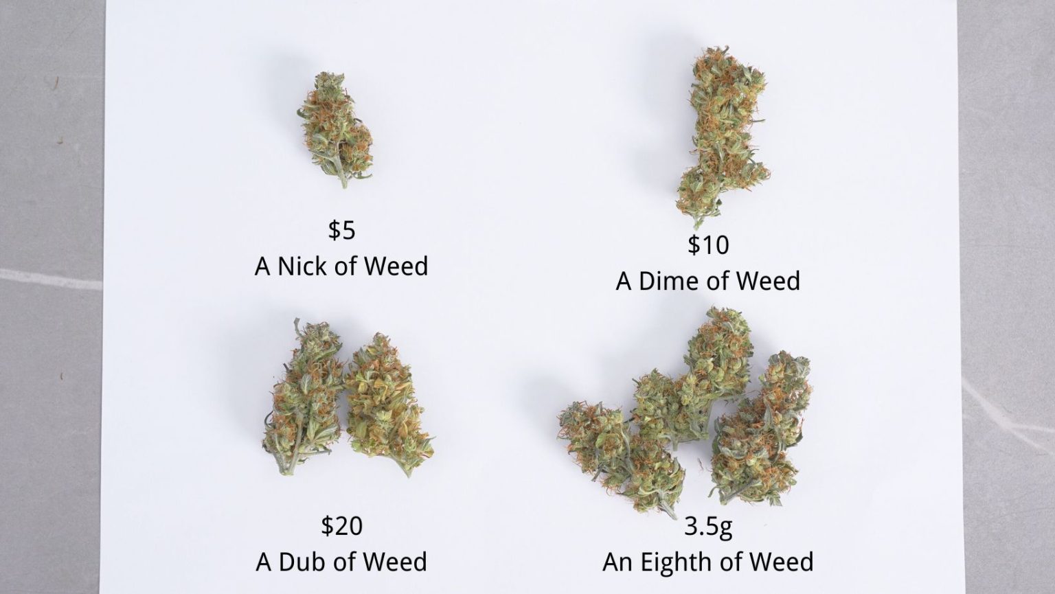 How Many Grams in an Eighth of Weed? (5 Common Slang Term Conversions