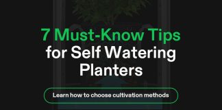 Self watering plant cover image