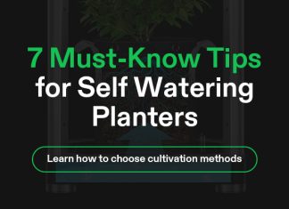Self watering plant cover image