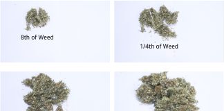 weed measurements