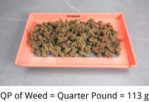 How Much is a QP