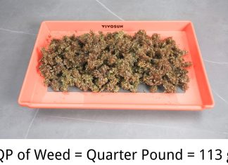 How Much is a QP