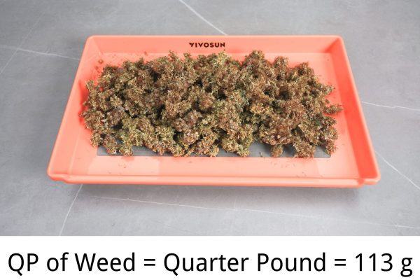 How Much is a QP