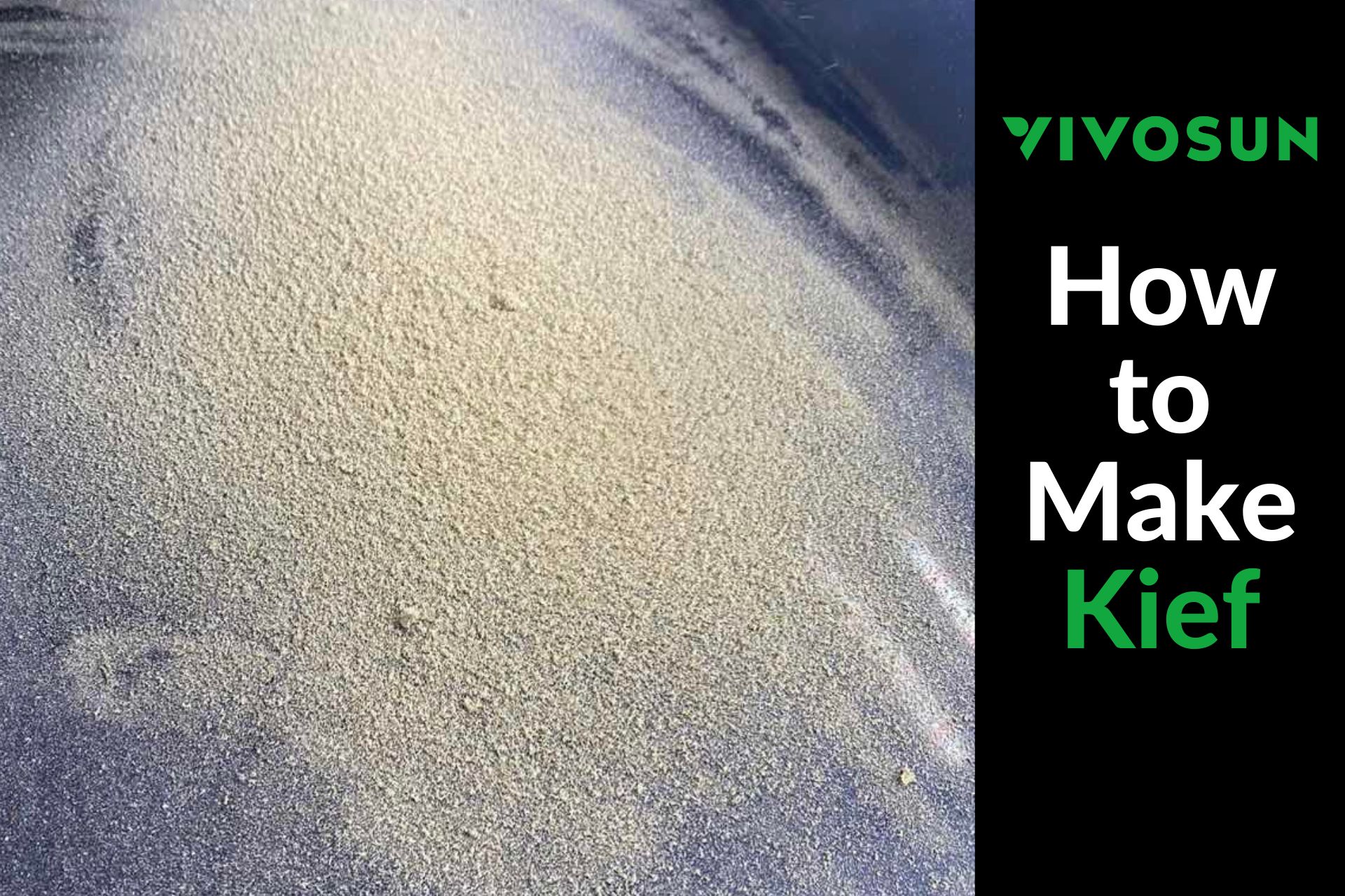 The Ultimate Guide to Kief What It Is and How to Use It Vivosun