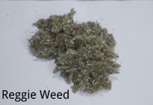 reggie weed