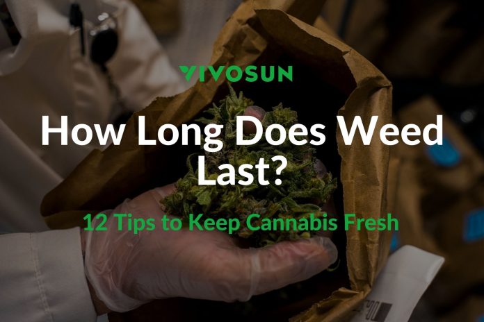 how long does weed last in ziploc