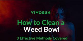 how to clean a weed bowl