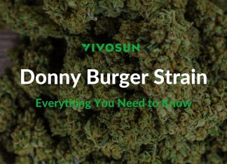 donny burger strain