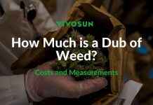 How Much is a Dub of Weed