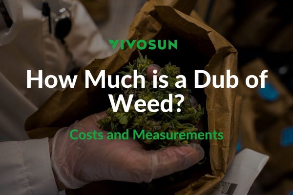 How Much is a Dub of Weed