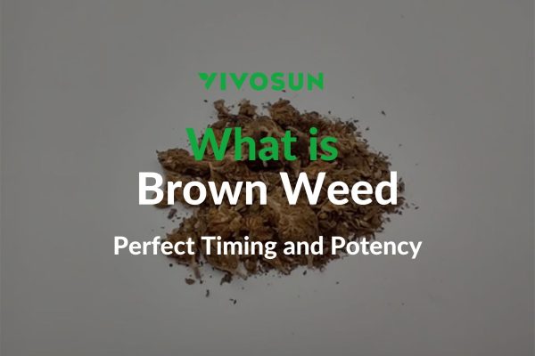 What is Brown Weed