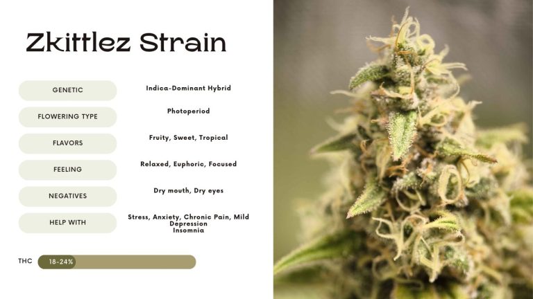 Zkittlez Strain: Everything You Need to Know - Vivosun