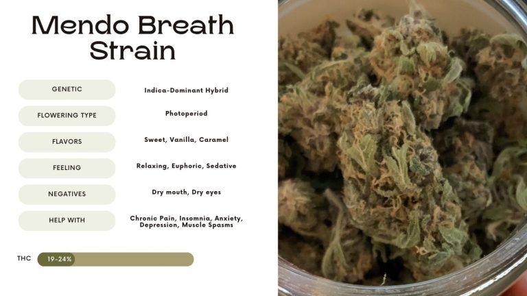 Mendo Breath Strain: Everything You Need to Know - Vivosun