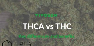 THCA vs THC