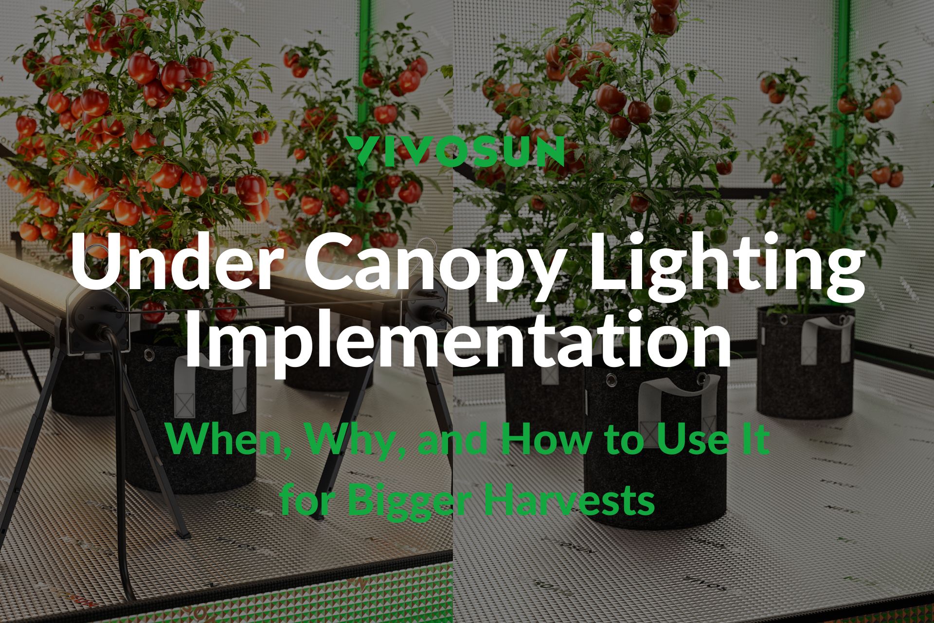 under canopy lighting